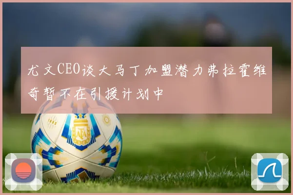 尤文CEO谈大马丁加盟潜力弗拉霍维奇暂不在引援计划中