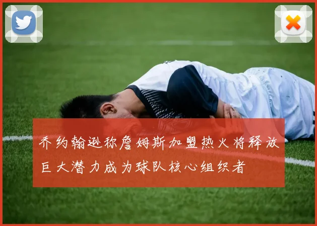 乔约翰逊称詹姆斯加盟热火将释放巨大潜力成为球队核心组织者