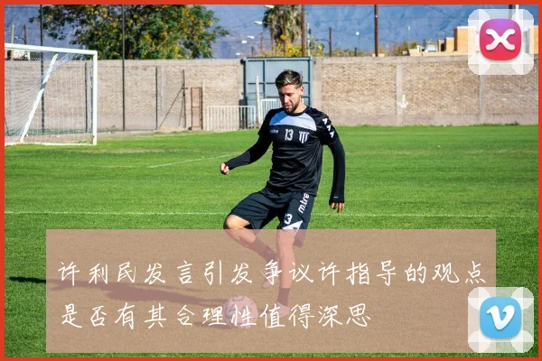 许利民发言引发争议许指导的观点是否有其合理性值得深思